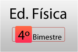 4º bimestre